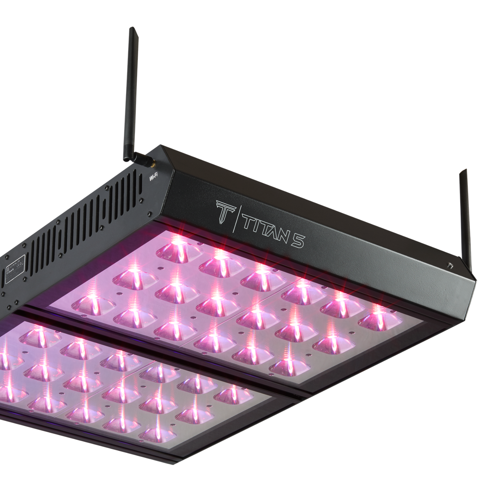 Cirrus 1k led grow light cheap